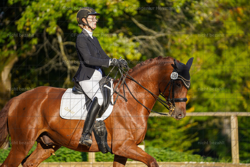 20221007-FAH00324 | Diessen am Ammersee, 2022, Dressur- und Springturnier, Reitsportbilder, Turnierfotografen Bayern, Pferdefotografen, Fotoagentur Herrmann, Turnierbilder