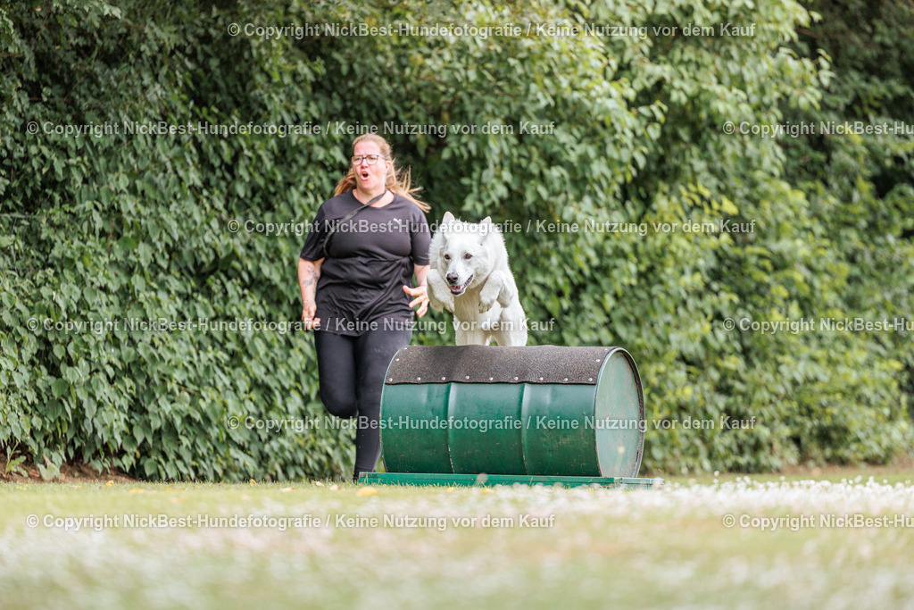 THS-Quakenbrück-2026-Nickbest-Hundefotografie-4212 | Dein Hund! Dein Moment! Deine Erinnerungen! Hundefotografie in Bremen Blumenthal. Ich fange die besonderen Momente deines Vierbeiners ein – ob Indoor mit Blitzanlage oder in der freien Natur. Sicher dir dein Moment und dein Termin für eure Erinnerungen.