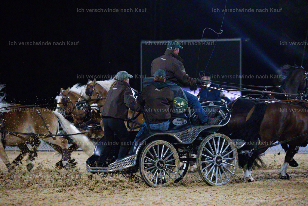 FHClassics-290 | working equitationturnier fotograf videograf stoibphotography marixx film working equitation deutschland reitsport turnierfotografie eventfotografie equestrian events