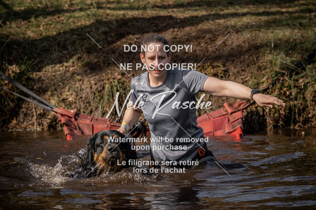 nelerasche_FS1330-1400_127 | nelerasche