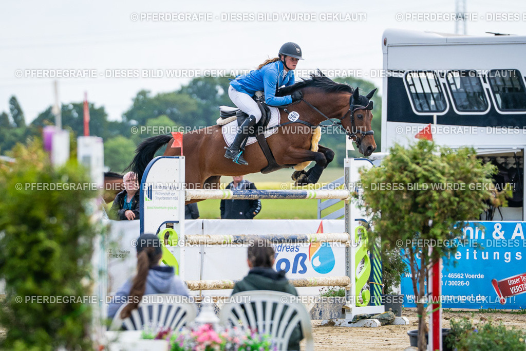 DSC06746 | Pferdegrafie