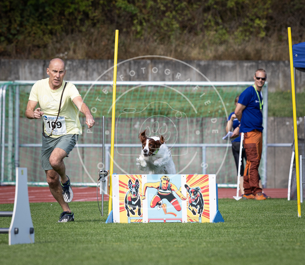 Pfotenfotografie_DV3A8215 | Hundefotografie, Tierfotograf, Pfotenfotografie, Fotoshooting Hund, Hunde Portrait, Hundesport, Hundeportraits, Heideshooting, Hunde, Sportfotograf, Hundefotograf, Turnierhundsport, THS,  - Realisiert mit Pictrs.com