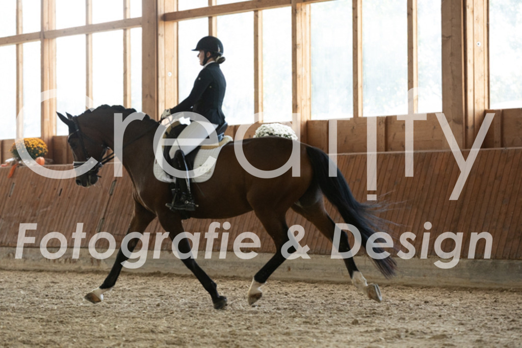 IMG_3945 | Creatify Fotografie