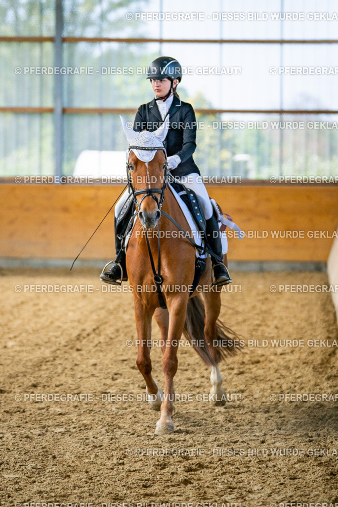 DSC03098 | Pferdegrafie