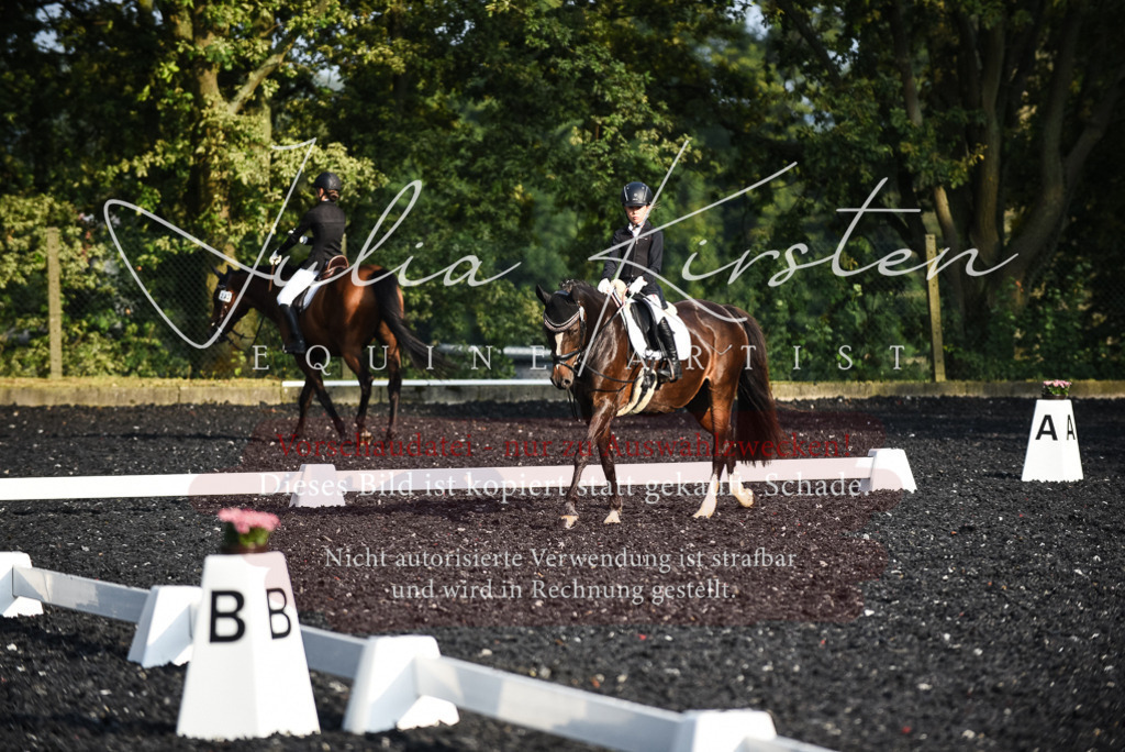 DSC_3503 | Pferde- und Turnierfotografie in Westsachsen. Pferdeportraits, Auftragszeichnungen und intuitive Kunst.