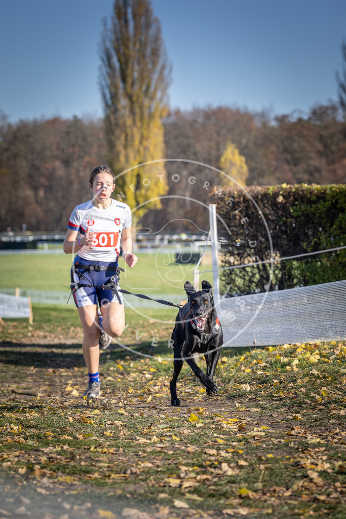 CaniXpix_DV3A9504 | Hundefotografie, Tierfotograf, Pfotenfotografie, Fotoshooting Hund, Hunde Portrait, Hundesport, Hundeportraits, Heideshooting, Hunde, Sportfotograf, Hundefotograf, Turnierhundsport, THS,  - Realisiert mit Pictrs.com