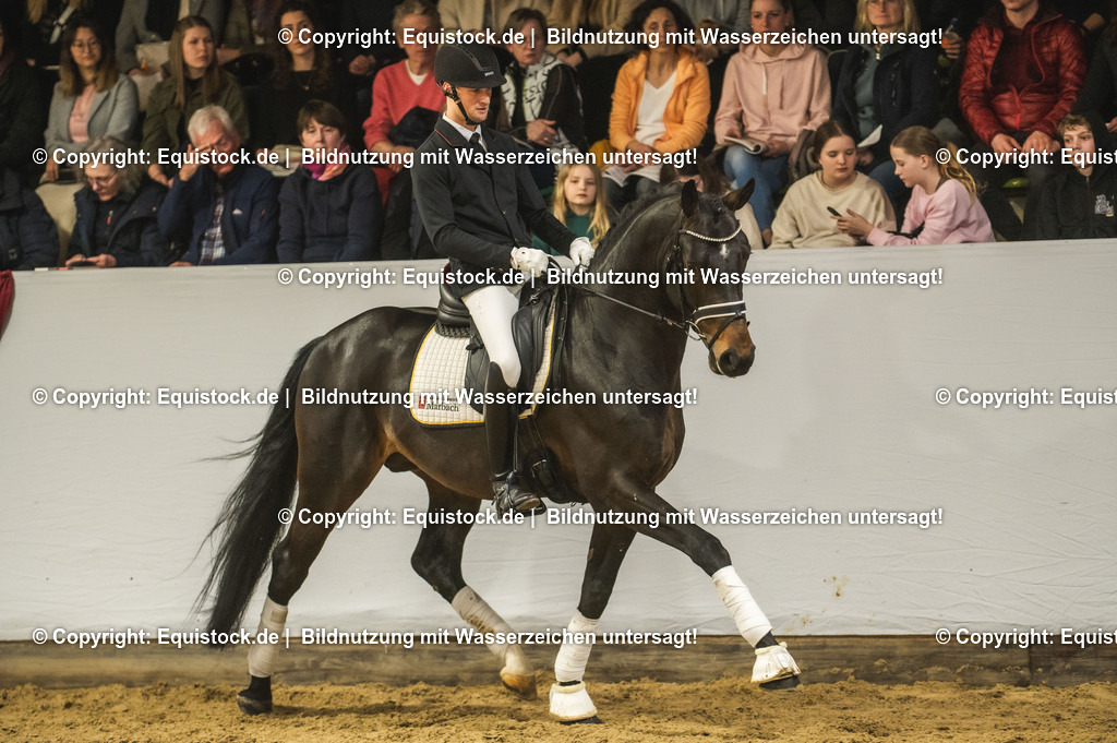 20240302_Hengstvorstellung_Marbach_TOMsPiC_0392 | equistock