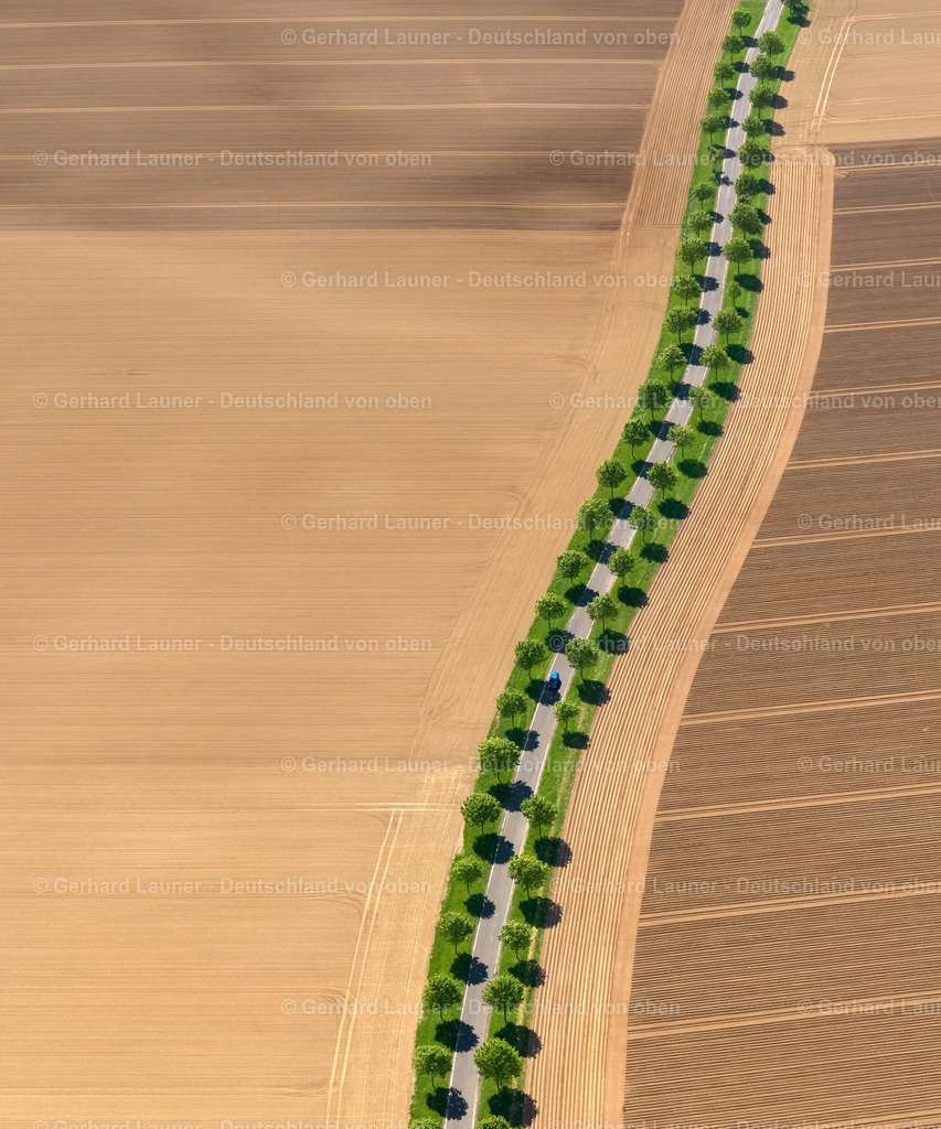 9300135 | Baum-undFeldstrukturen bei Münstermaifeld