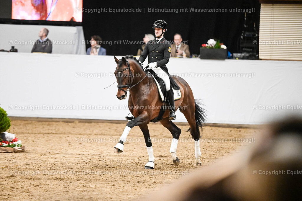 20260307_Hengstvorstellung-Marbach_0385 | equistock