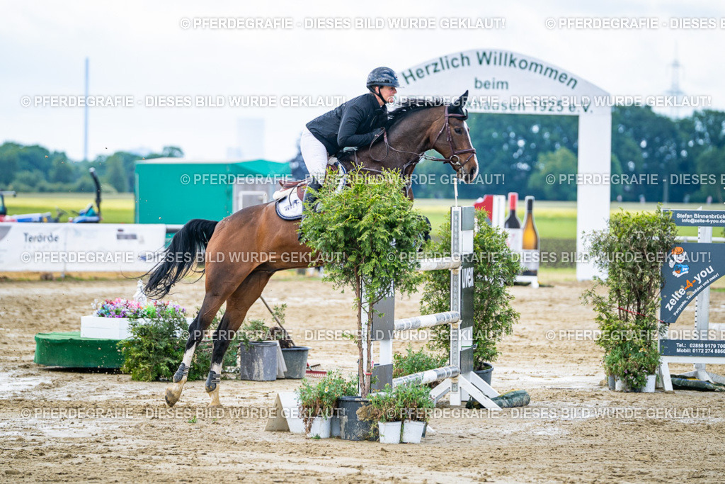 DSC04889 | Pferdegrafie