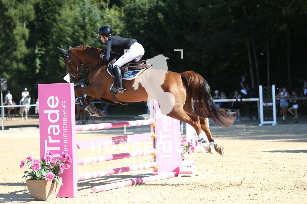 DL2Q0107 | Willkommen bei Brunnmayr - Design & Fotografie – Ihrem Spezialisten für Reitturniere und Pferdeveranstaltungen in Oberösterreich, Salzburg und Bayern! Seit über 17 Jahren sind wir leidenschaftlich dabei.