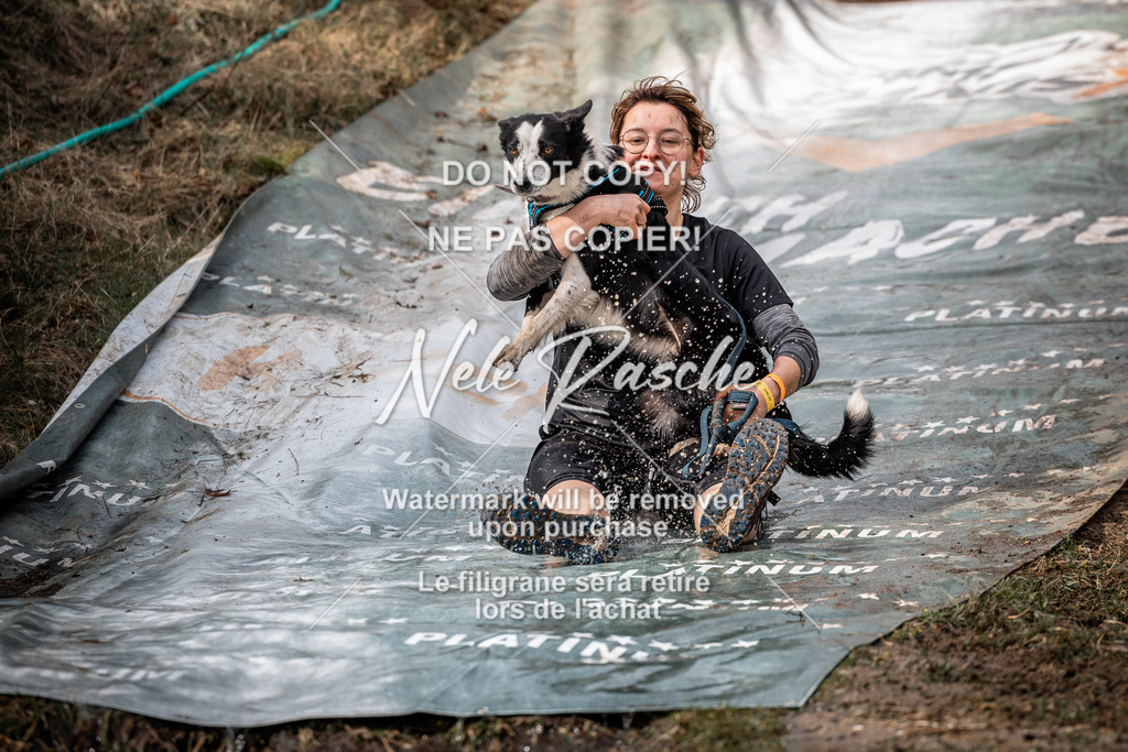 nelerasche_1330-1400_281 | nelerasche