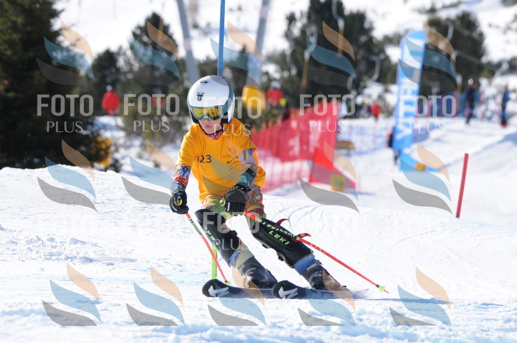 C7177 | holidayphoto