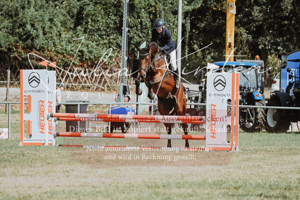 DSC_9398 | Pferde- und Turnierfotografie in Westsachsen. Pferdeportraits, Auftragszeichnungen und intuitive Kunst.