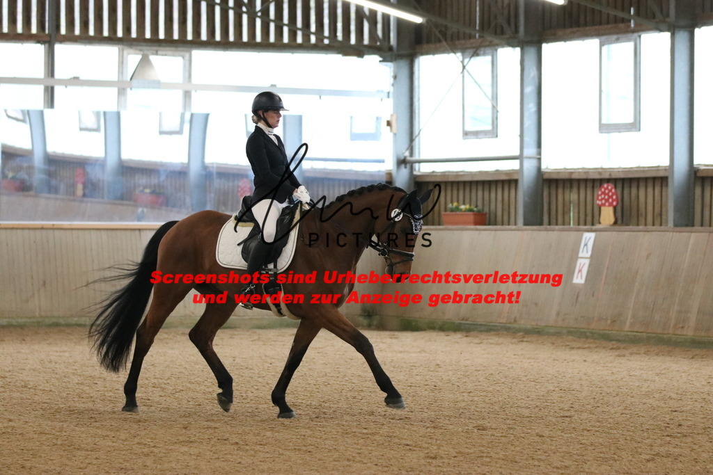 IMG_6255 | lmwpictures - Realisiert mit Pictrs.com