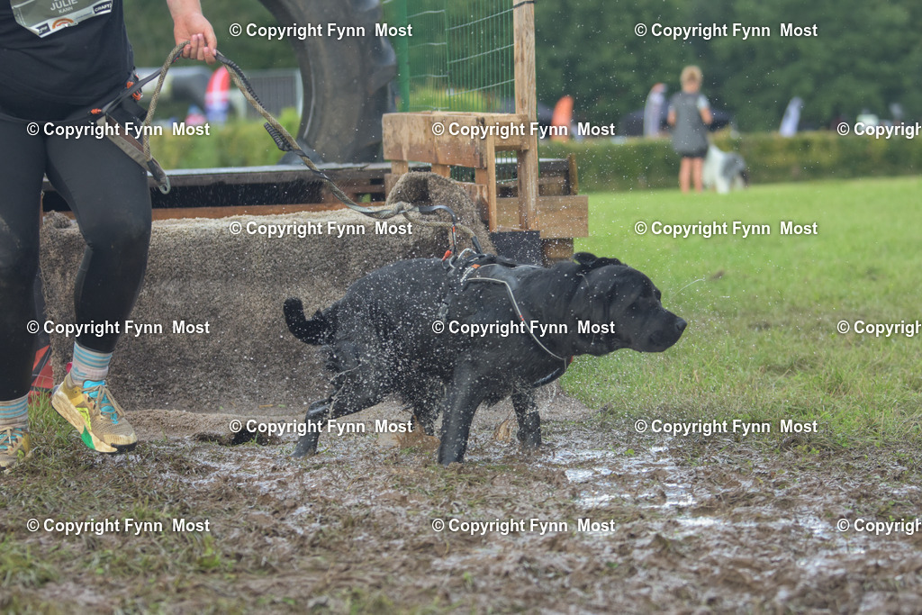 DSC_0408 | Hallo und herzlich Willkommen auf meiner Shop-Seite Fynn Most.

Ich wünsche Dir viel Spaß beim stöbern durch die Bilder, wenn Du Fragen hast oder Bilder vermisst, kannst du mir gerne eine Nachricht schreiben. - Realisiert mit Pictrs.com