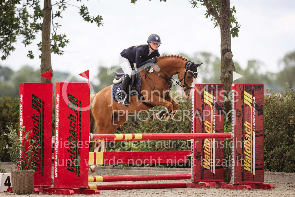 240616_Lemwerder_A2-Spr-215 | Deine schönsten Turniermomente als professionelle Fotos! Entdecke hochwertige Pferdesport-Fotografie im Online-Shop. Jetzt Fotos finden & bestellen!