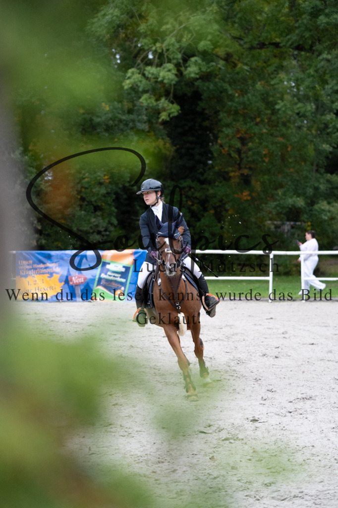 A7V08624 | Pferdefotograf