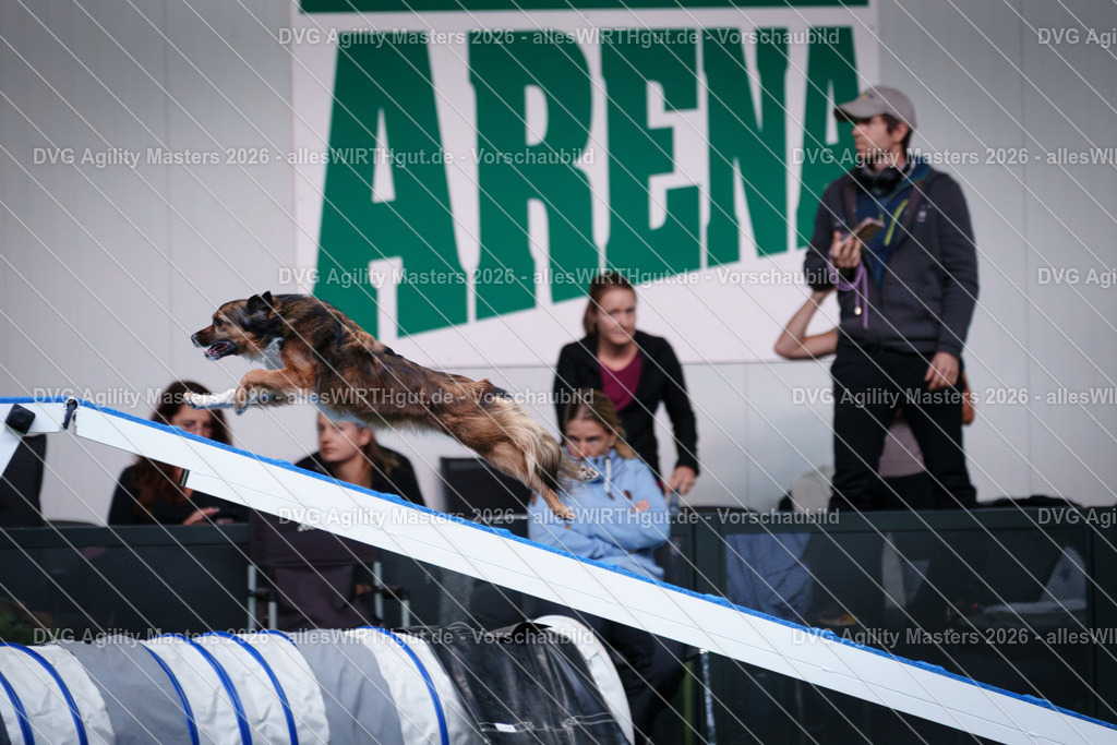 allesWIRTHgut_Tierfotografie-DVG_Agility_Masters_2026-15_03-7R506043 | Professionelle Tierfotografie in Mönchengladbach von Daniel Wirth (allesWIRTHgut). Liebevolle & natürliche Bilder von Hunden & Katzen für unvergessliche Erinnerungen.