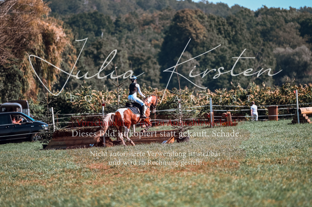 DSC_1033 | Pferde- und Turnierfotografie in Westsachsen. Pferdeportraits, Auftragszeichnungen und intuitive Kunst.