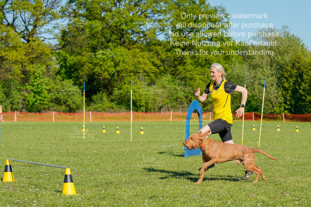 Sa_CSC-455 | stephaniefillaphotographie - Realisiert mit Pictrs.com