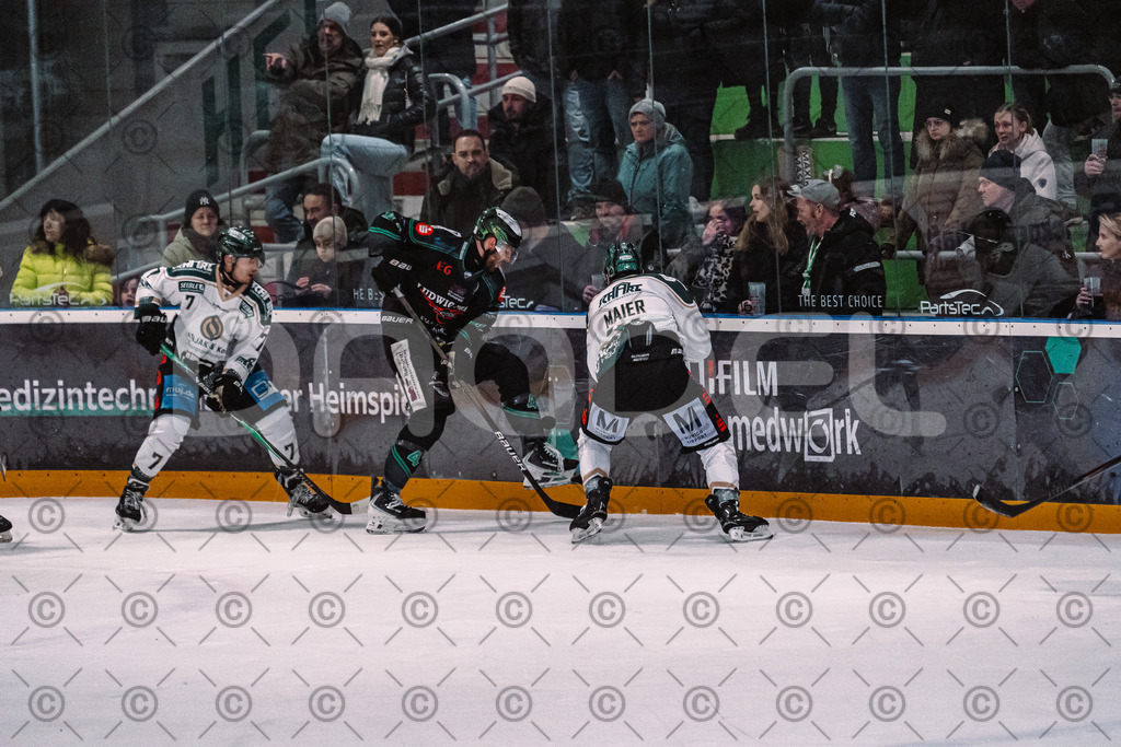 Alligators_vs_Erding_01_02_2026-21 | Höchstadt Alligators Fotogalerie: Eishockey-Action aus Franken. Professionelle Spielfotos, Portraits & Stadionbilder zum Download. Jetzt entdecken! - Realisiert mit Pictrs.com