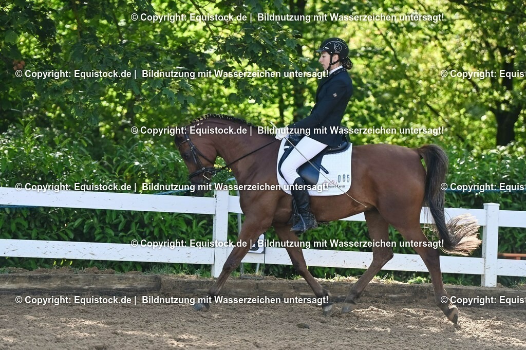 20230716_04_Dressurreiterprüfung Kl.A_0188 | equistock