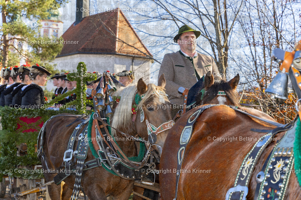 LBT25-1336 | Professionelle Fotografin mit Fachgeschäft in Lenggries & im Landkreis Bad Tölz Wolfratshausen. Hochzeitsreportage, Familienfotos, Newborn-, Babybauch-, Pass- & Businessfotos.Alles Rund ums Foto