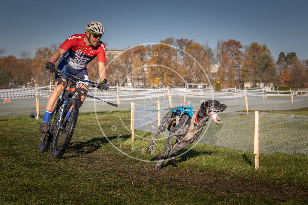 CaniXpix_0L8A4470 | Hundefotografie, Tierfotograf, Pfotenfotografie, Fotoshooting Hund, Hunde Portrait, Hundesport, Hundeportraits, Heideshooting, Hunde, Sportfotograf, Hundefotograf, Turnierhundsport, THS,  - Realisiert mit Pictrs.com