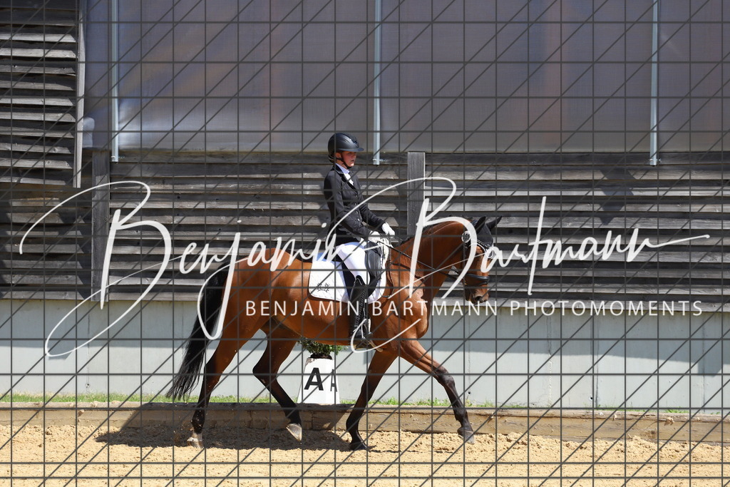 IMG_6374 | Benjamin Bartmann Photomoments