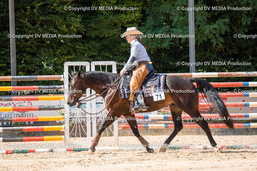 ZH100339 | dv-media-shop - Realisiert mit Pictrs.com