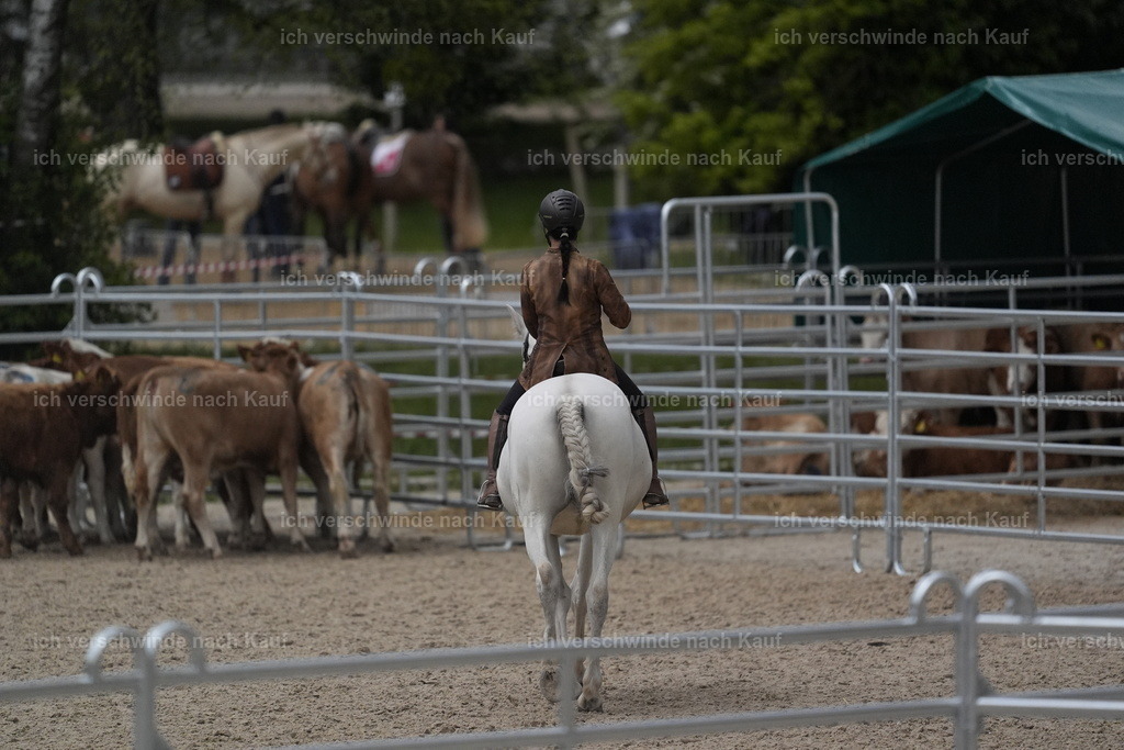 PI26_COW_Stoibphotography_DSC6502.JPG | working equitationturnier fotograf videograf stoibphotography marixx film working equitation deutschland reitsport turnierfotografie eventfotografie equestrian events
