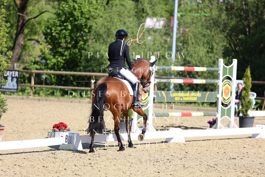 IMGT0506 | pl-fotografie