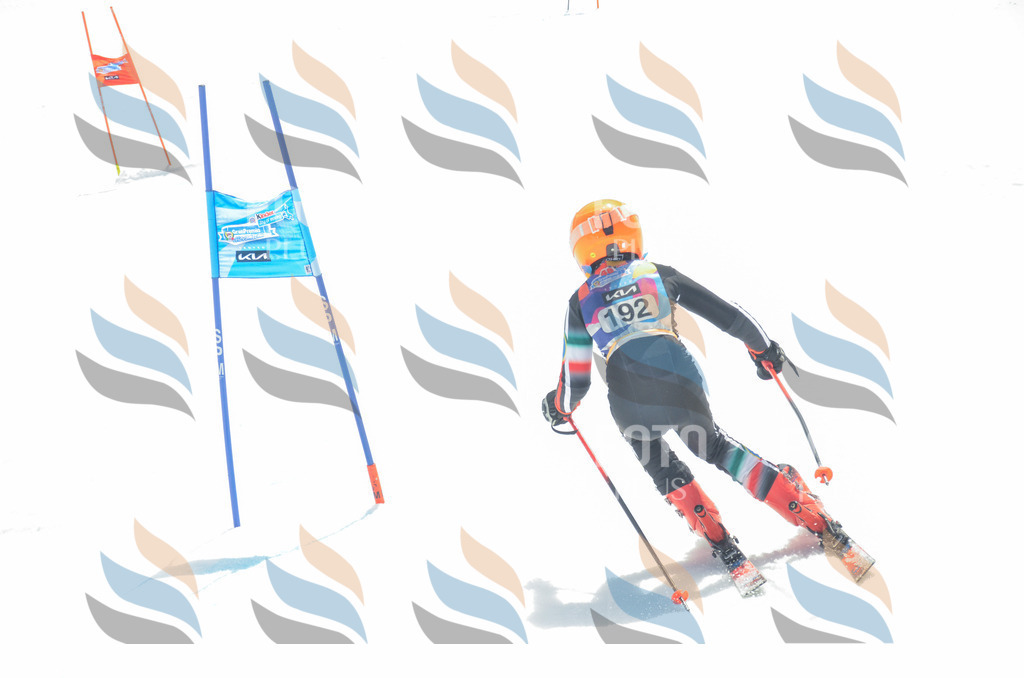 _ELE6813 | holidayphoto