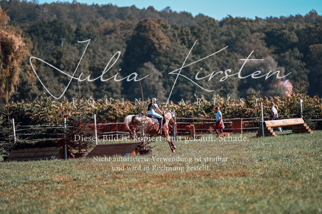 DSC_0707 | Pferde- und Turnierfotografie in Westsachsen. Pferdeportraits, Auftragszeichnungen und intuitive Kunst.