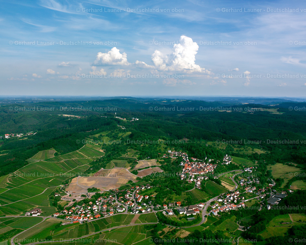 2500402 | Löwenstein