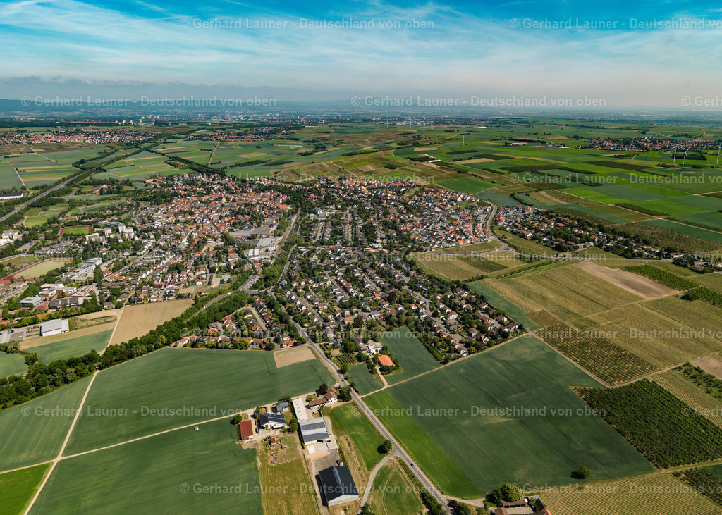 3134126-Nieder-Olm | Nieder-Olm