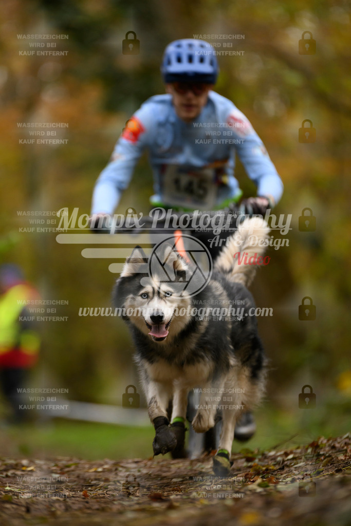 MompixPhotography_Bischwiller24_SA_VTT-92 | PayLife