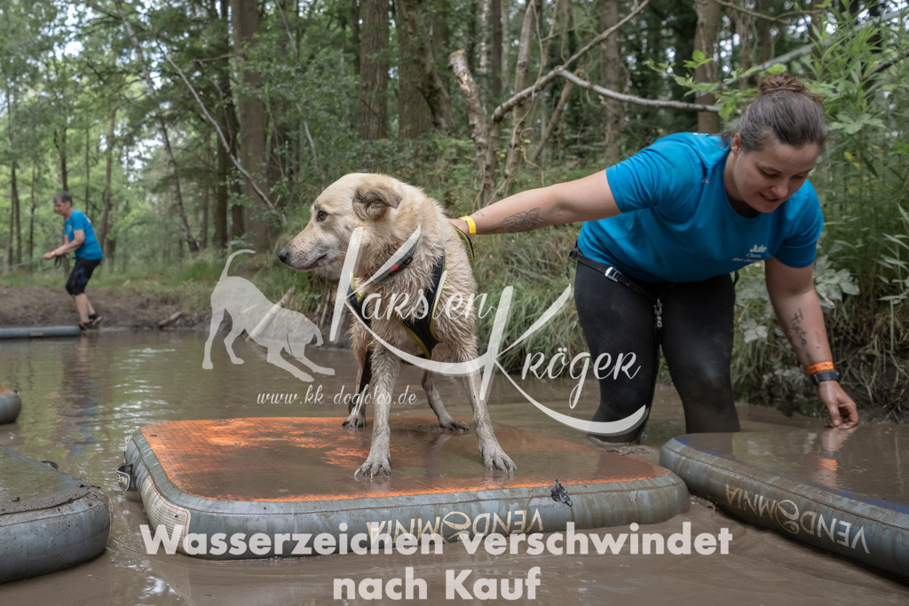 1359_ZZ96597 | kk-dogfotos