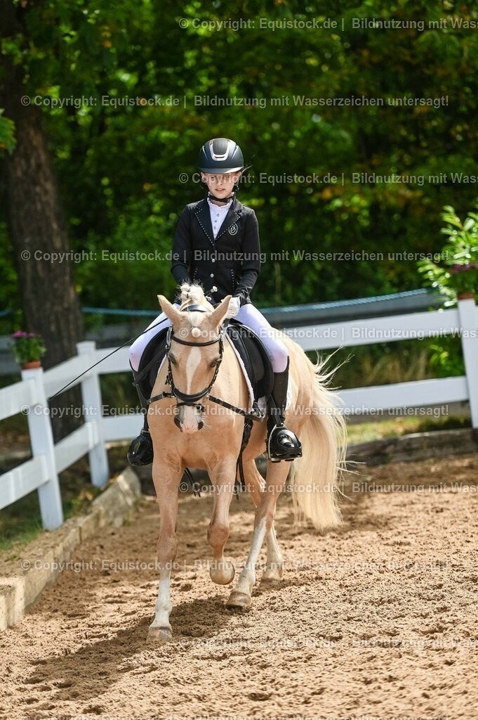 20230716_10-3_Reiter-WB Schritt - Trab - Galopp_0116 | equistock