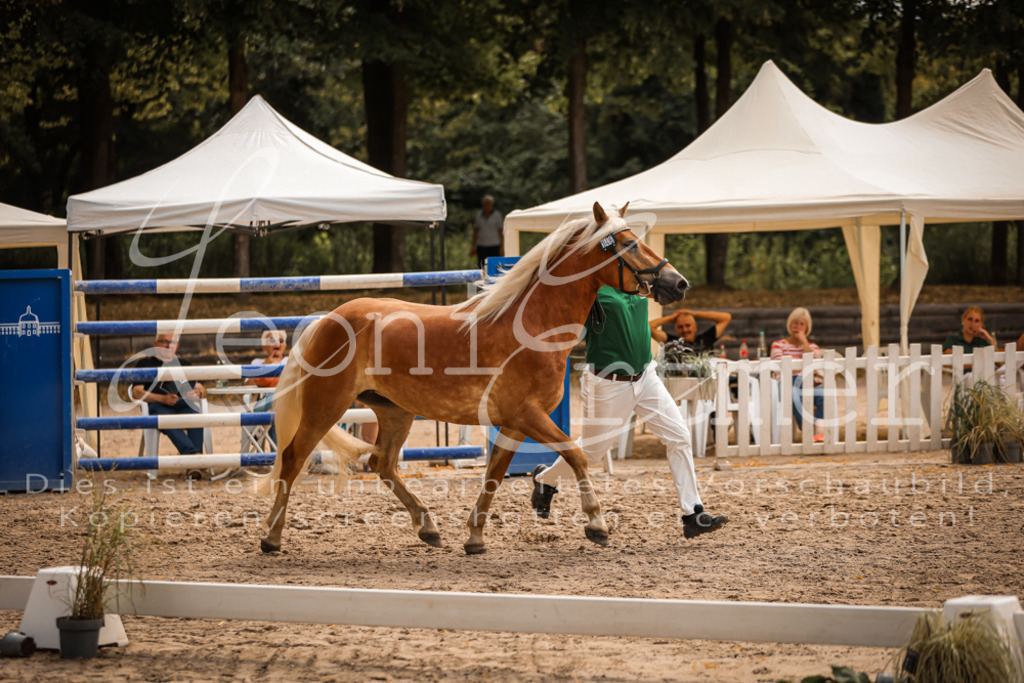 06.So00082 | Leoni Ertmer Photography - Realisiert mit Pictrs.com