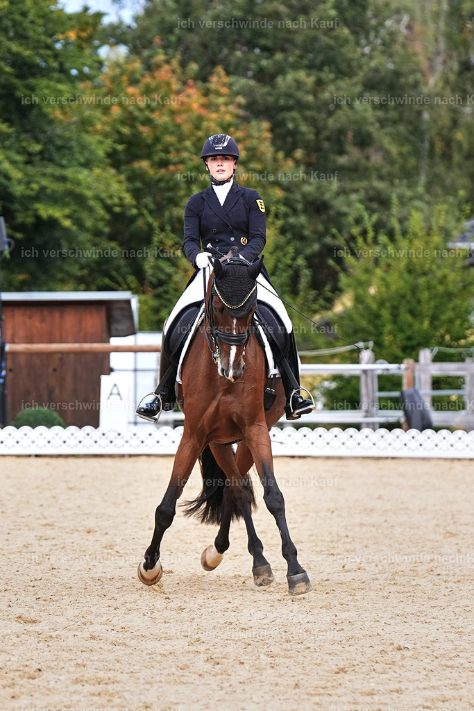 11-003-Dressur S___-Marixx-1720 | working equitationturnier fotograf videograf stoibphotography marixx film working equitation deutschland reitsport turnierfotografie eventfotografie equestrian events