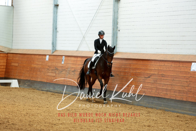 _62_4401 | Turniersportfotografie; Pferdefotografie; Dressurfotografie