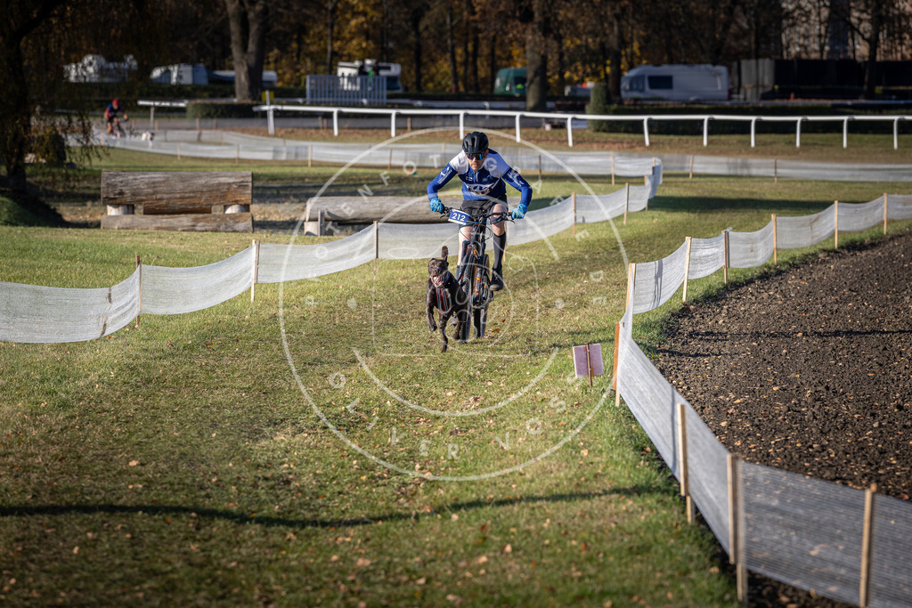 CaniXpix_DV3A3132 | Hundefotografie, Tierfotograf, Pfotenfotografie, Fotoshooting Hund, Hunde Portrait, Hundesport, Hundeportraits, Heideshooting, Hunde, Sportfotograf, Hundefotograf, Turnierhundsport, THS,  - Realisiert mit Pictrs.com
