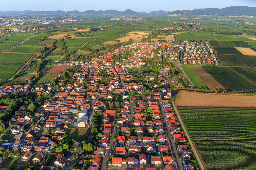Luftbild: Ortsansicht von Osten in Essingen im Bundesland Rheinland-Pfalz in Deutschland. Foto: IMG_116612.jpg vom 11.08.2019 durch Werner Riehm/FLY-FOTO.de