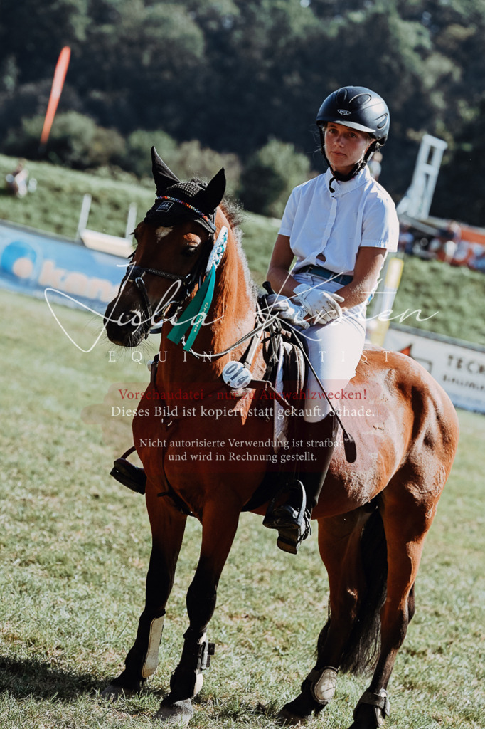 DSC_6218 | Pferde- und Turnierfotografie in Westsachsen. Pferdeportraits, Auftragszeichnungen und intuitive Kunst.