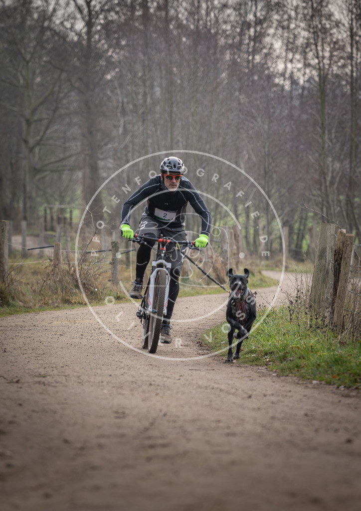 Pfotenfotografie_DV3A1496 | Hundefotografie, Tierfotograf, Pfotenfotografie, Fotoshooting Hund, Hunde Portrait, Hundesport, Hundeportraits, Heideshooting, Hunde, Sportfotograf, Hundefotograf, Turnierhundsport, THS,  - Realisiert mit Pictrs.com