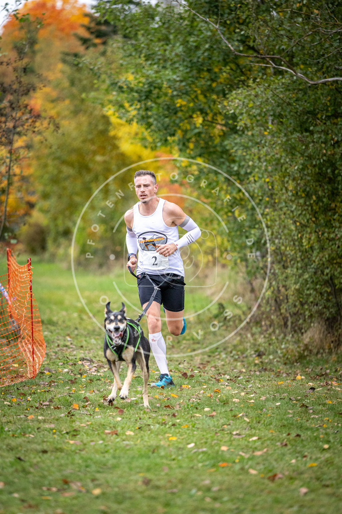Pfotenfotografie_DV3A1595 | Hundefotografie, Tierfotograf, Pfotenfotografie, Fotoshooting Hund, Hunde Portrait, Hundesport, Hundeportraits, Heideshooting, Hunde, Sportfotograf, Hundefotograf, Turnierhundsport, THS,  - Realisiert mit Pictrs.com