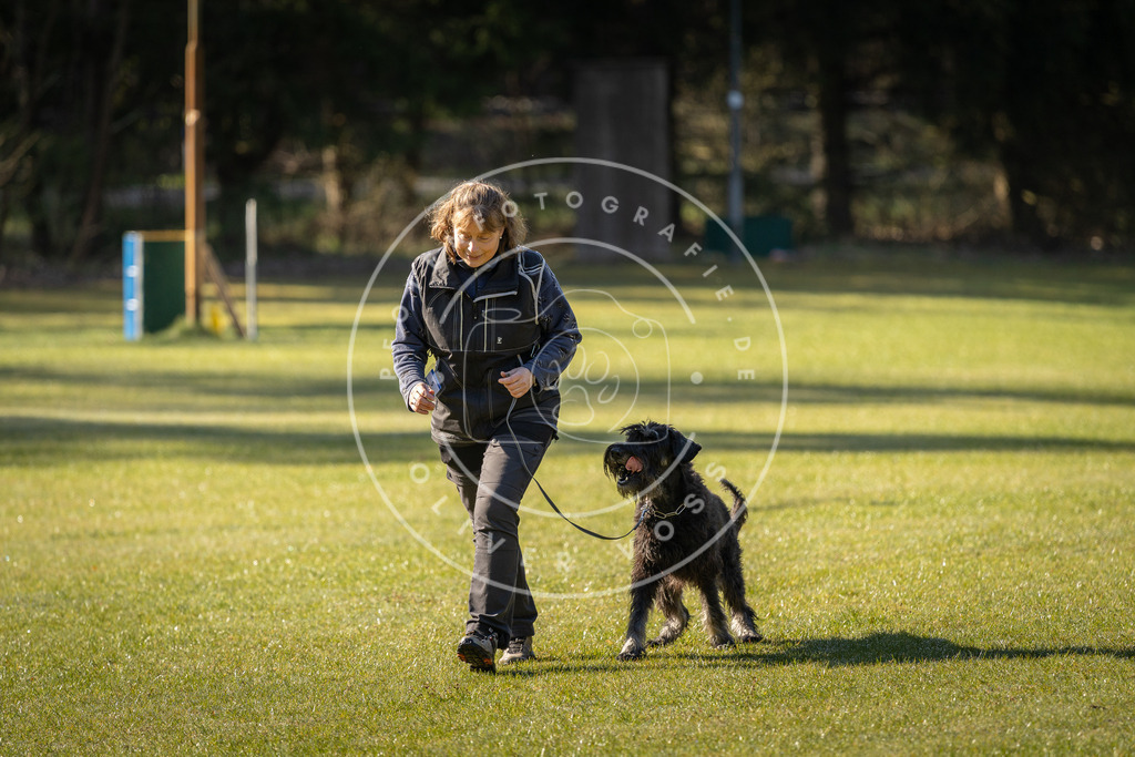 Pfotenfotografie_DV3A0079 | Hundefotografie, Tierfotograf, Pfotenfotografie, Fotoshooting Hund, Hunde Portrait, Hundesport, Hundeportraits, Heideshooting, Hunde, Sportfotograf, Hundefotograf, Turnierhundsport, THS,  - Realisiert mit Pictrs.com