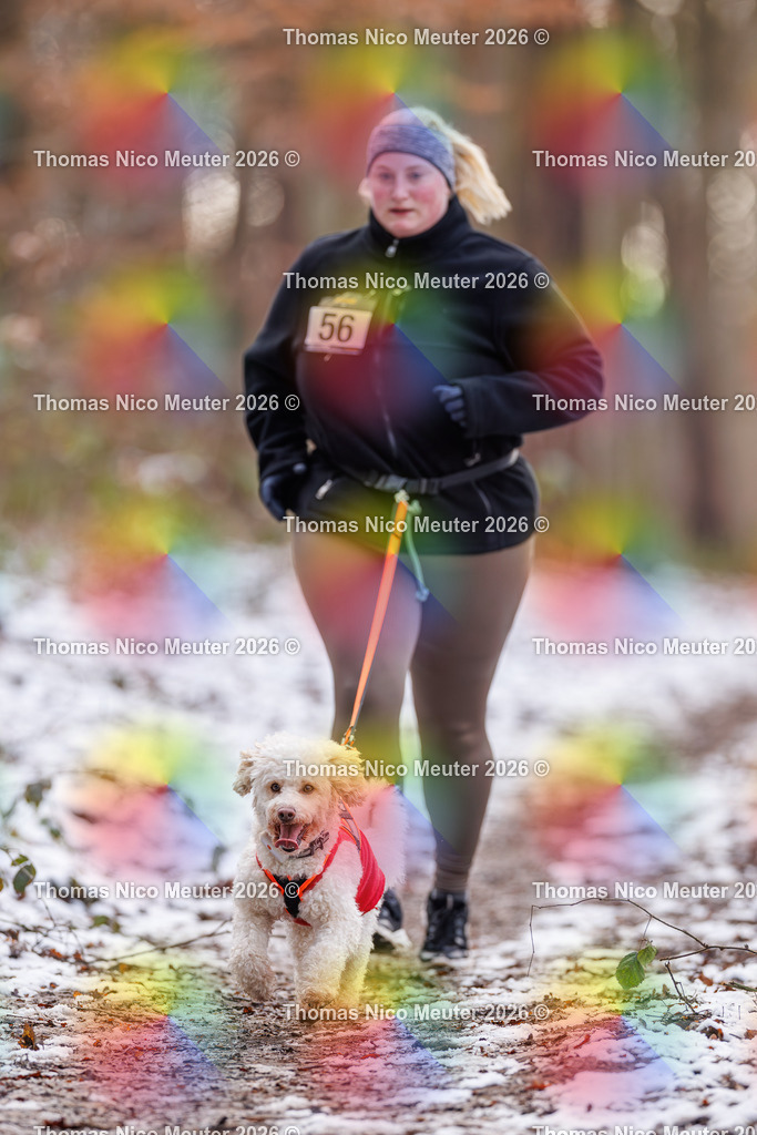 Thomas_Nico_Meuter(C)_223A8942 | Bild von Thomas Nico Meuter - Realisiert mit Pictrs.com